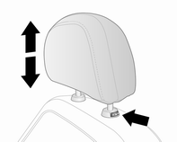 Opel Antara. Kopfstützen