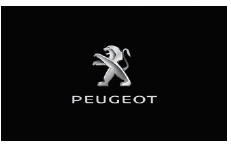 Peugeot 5008. PEUGEOT Connect Radio